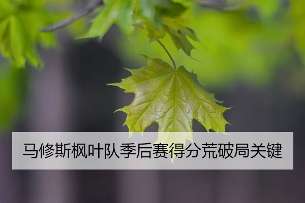 马修斯枫叶队季后赛得分荒破局关键